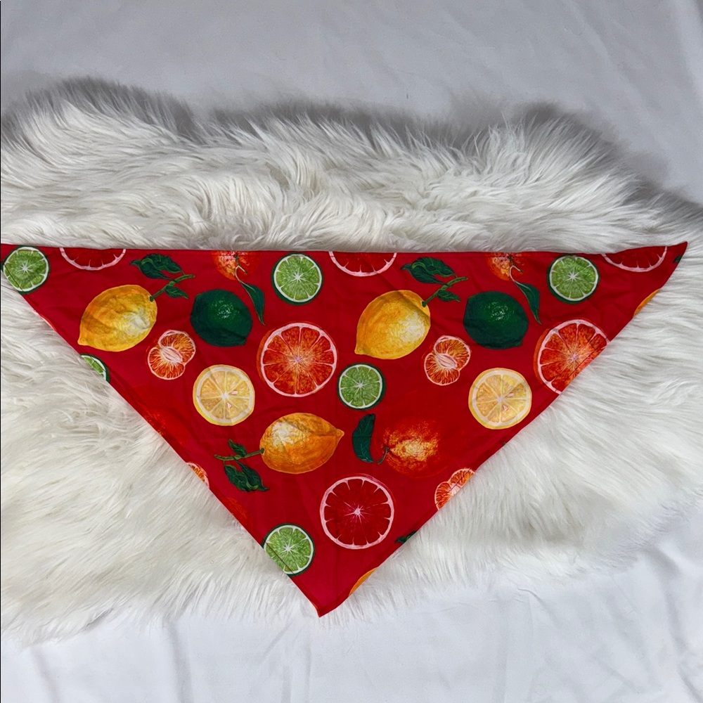 Vibrant Fruit Print Dog Bandanna